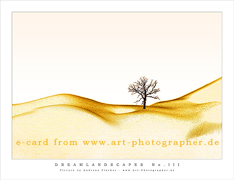 Art Photographer Kunst Ecard 3 Akt Korperlandschaft Digitale Postkarte Grusskarte Kostenlos