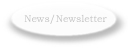 Art Photographer Newsletter
